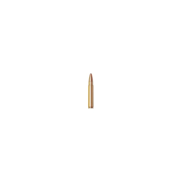 BOITE DE 20 CARTOUCHES HORNADY CUSTOM INTERLOCK CAL.9.3x62 286GR SP