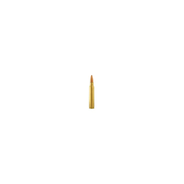 BOITE DE 50 CARTOUCHES FIOCCHI CAL.223REM FMJ 55GRS - CATEGORIE B