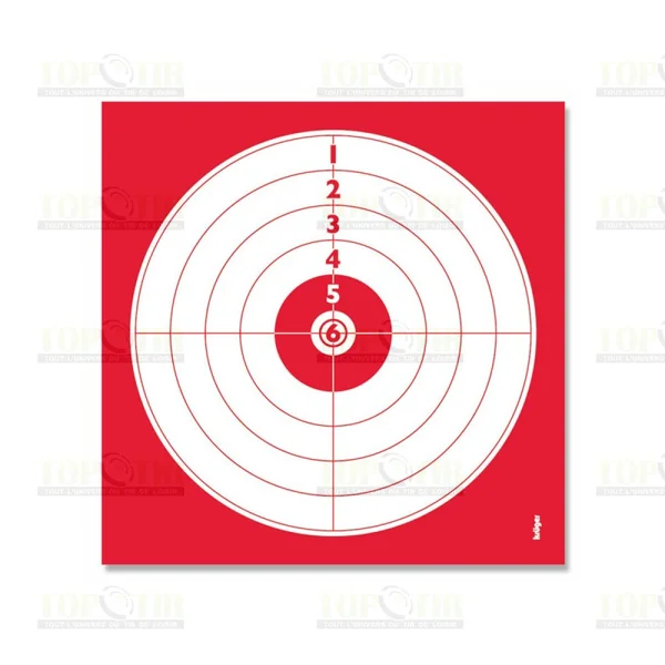 Carabine R-Force One Synthétique UMAREX 19.9J Cal 4.5mm + lunette de visée 4x32 et cibles