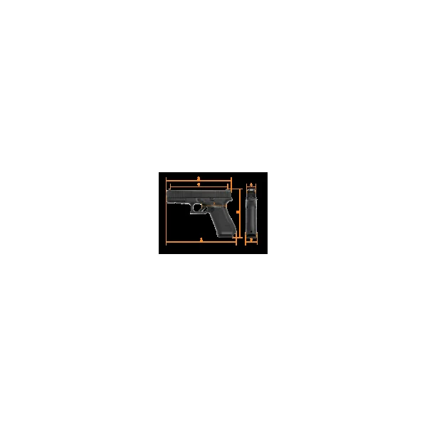 PRINTEMPS GLOCK - PISTOLET GLOCK 17 GEN5 MOS CAL.9X19 - CATEGORIE B